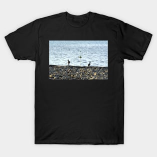 Two Birds T-Shirt